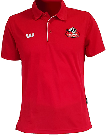 polo-shirt-350px-wide